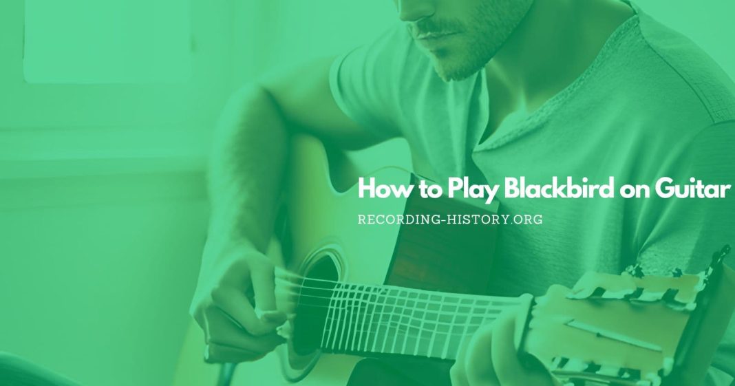 How To Play Blackbird On Guitar For Beginners How to Play Blackbird by The Beatles on Guitar: Chords & Tutorial